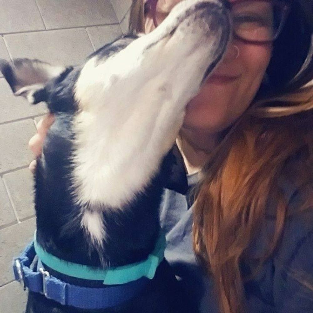 Meet your Posher, Nichole